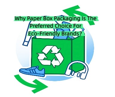 Jüngste Firmenblogs über Warum ist die Papierverpackung die bevorzugte Wahl für umweltfreundliche Marken?