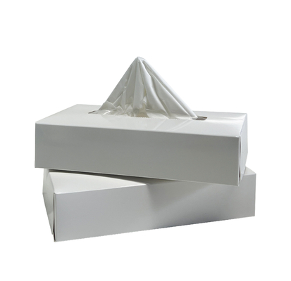 Zuhause Weiches, hautfreundliches, trockenes Gewebepapier mit starker Wasserabsorption 2 Schichten